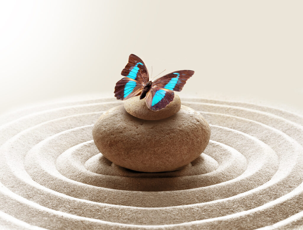 Blue butterfly on balanced rocks